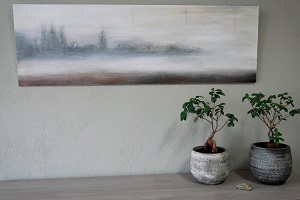 specialisaties, aandachtsgebieden gerard snik